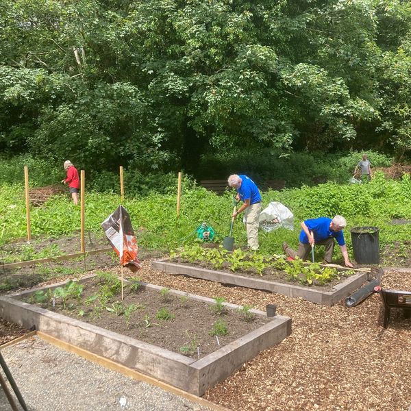 Erw Dewi community garden