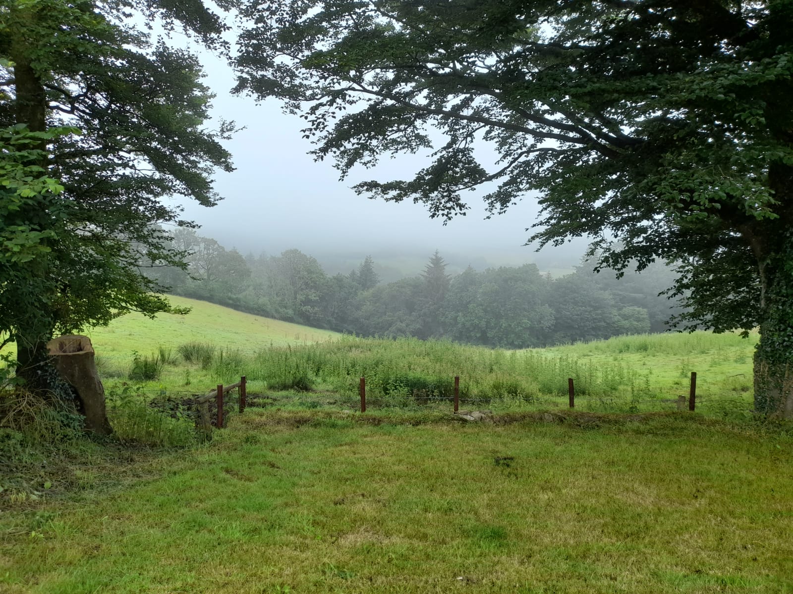 misty morning Capel Dewi