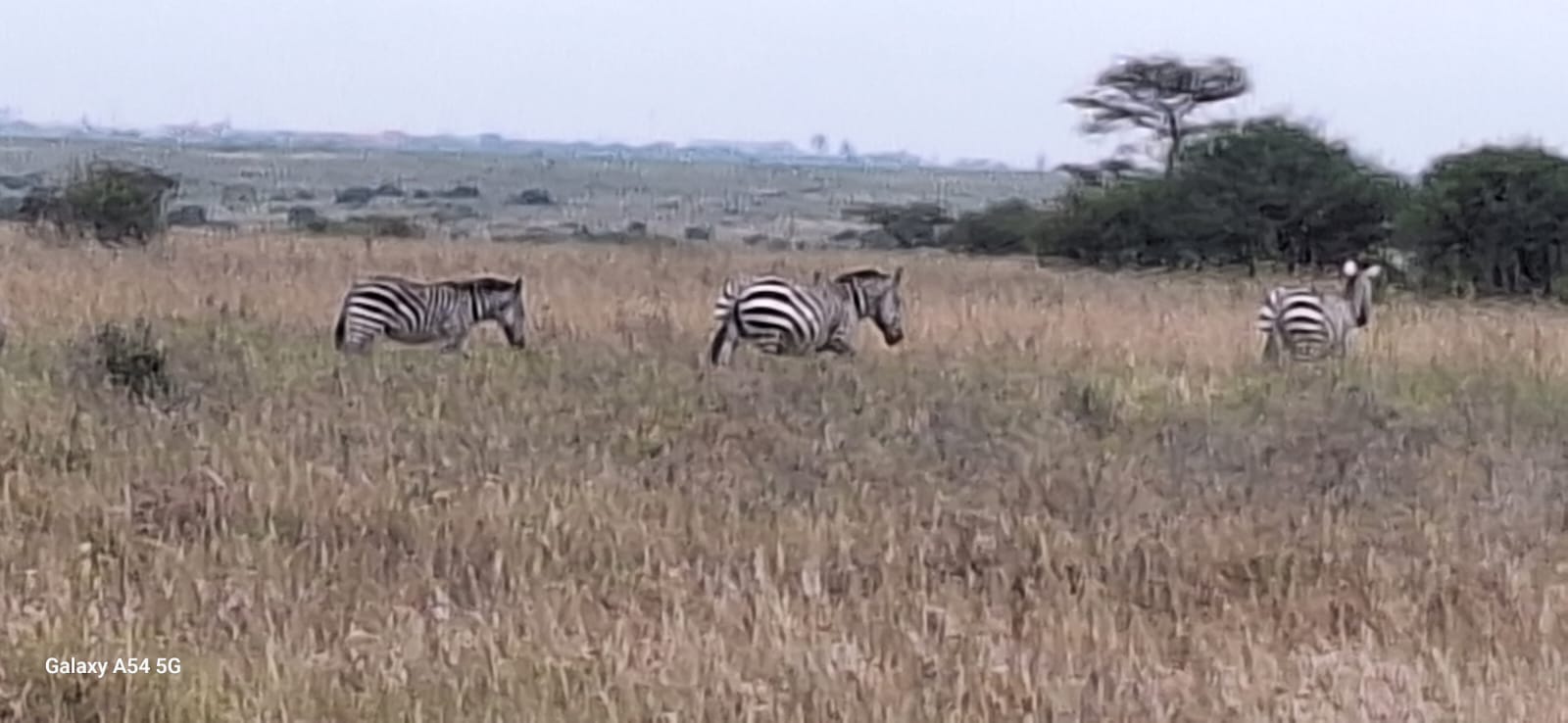 Kenya-4