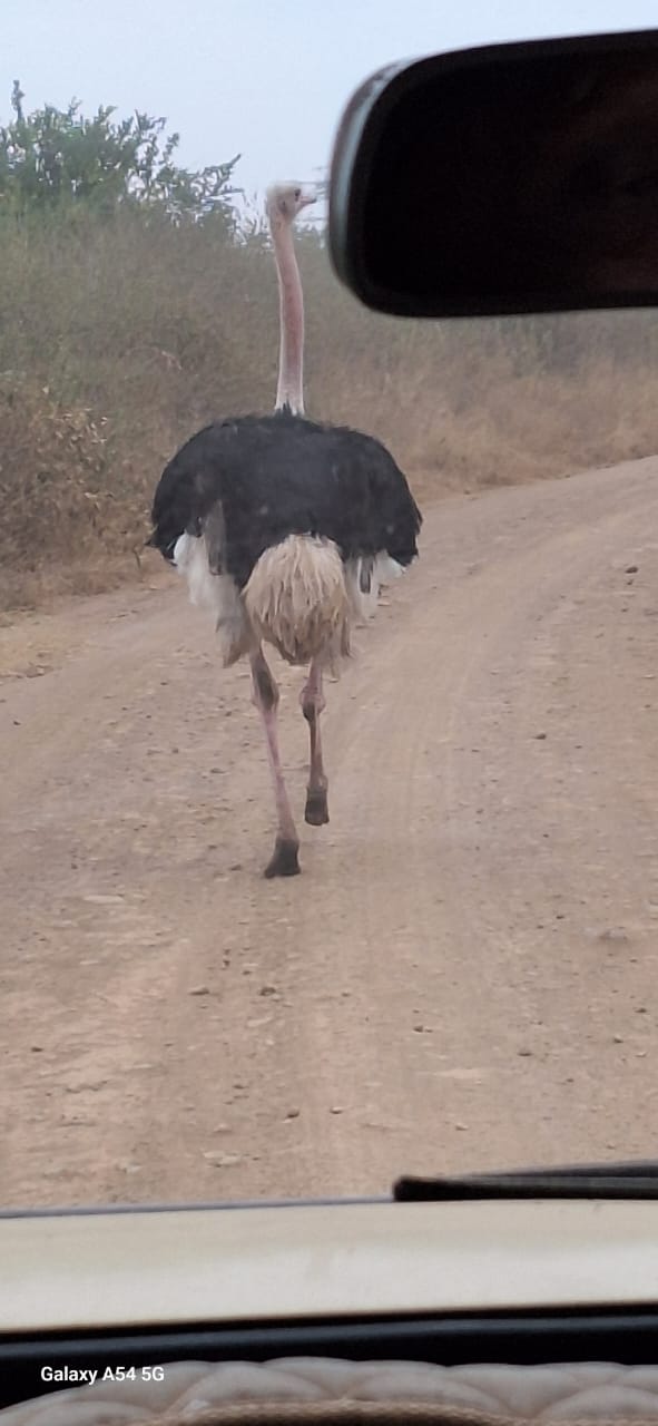 Kenya-6