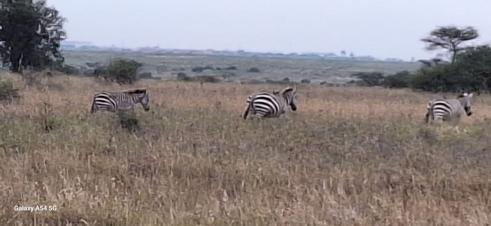 Kenya-7