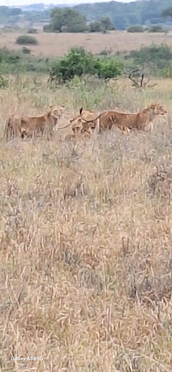 Kenya-8