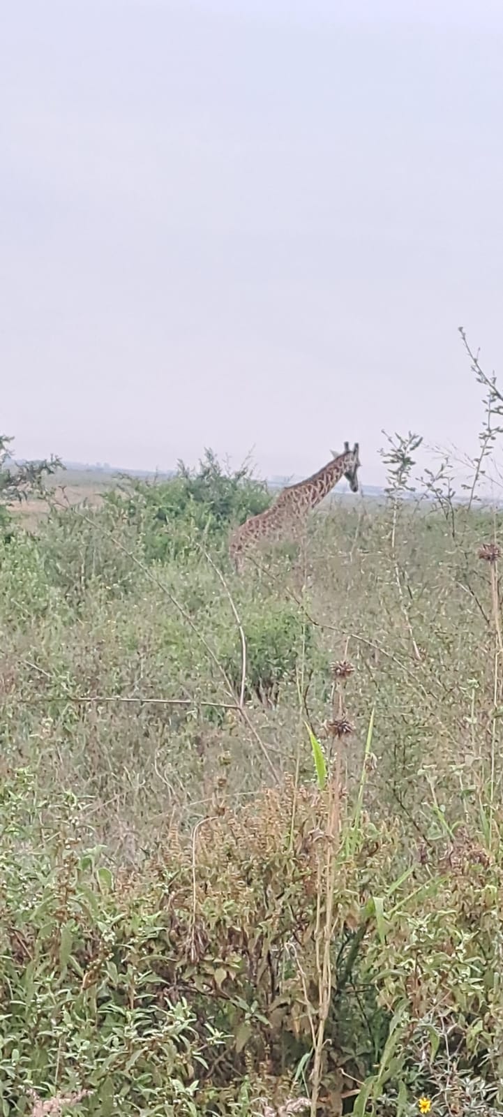 Kenya-9