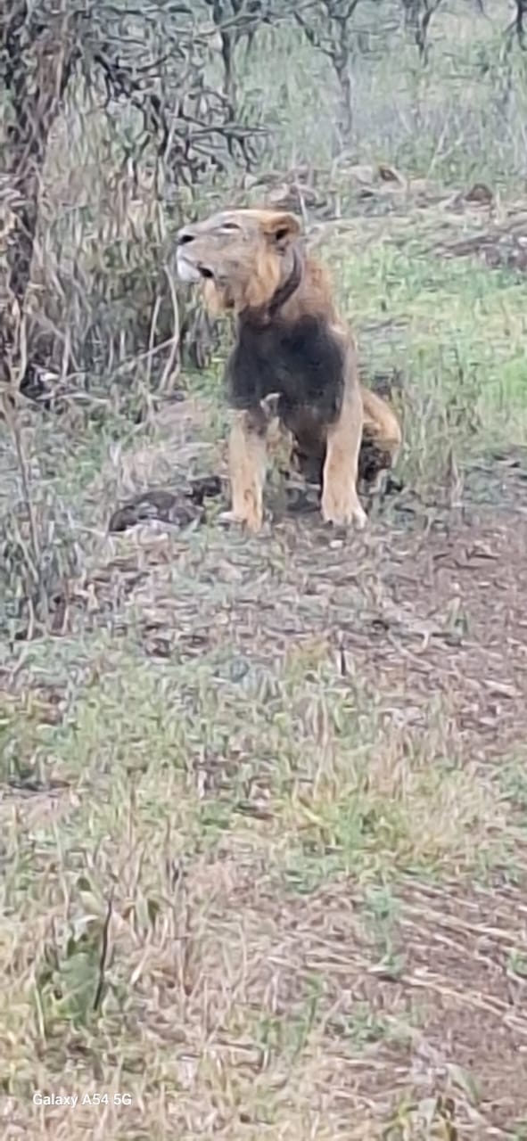 Kenya-10