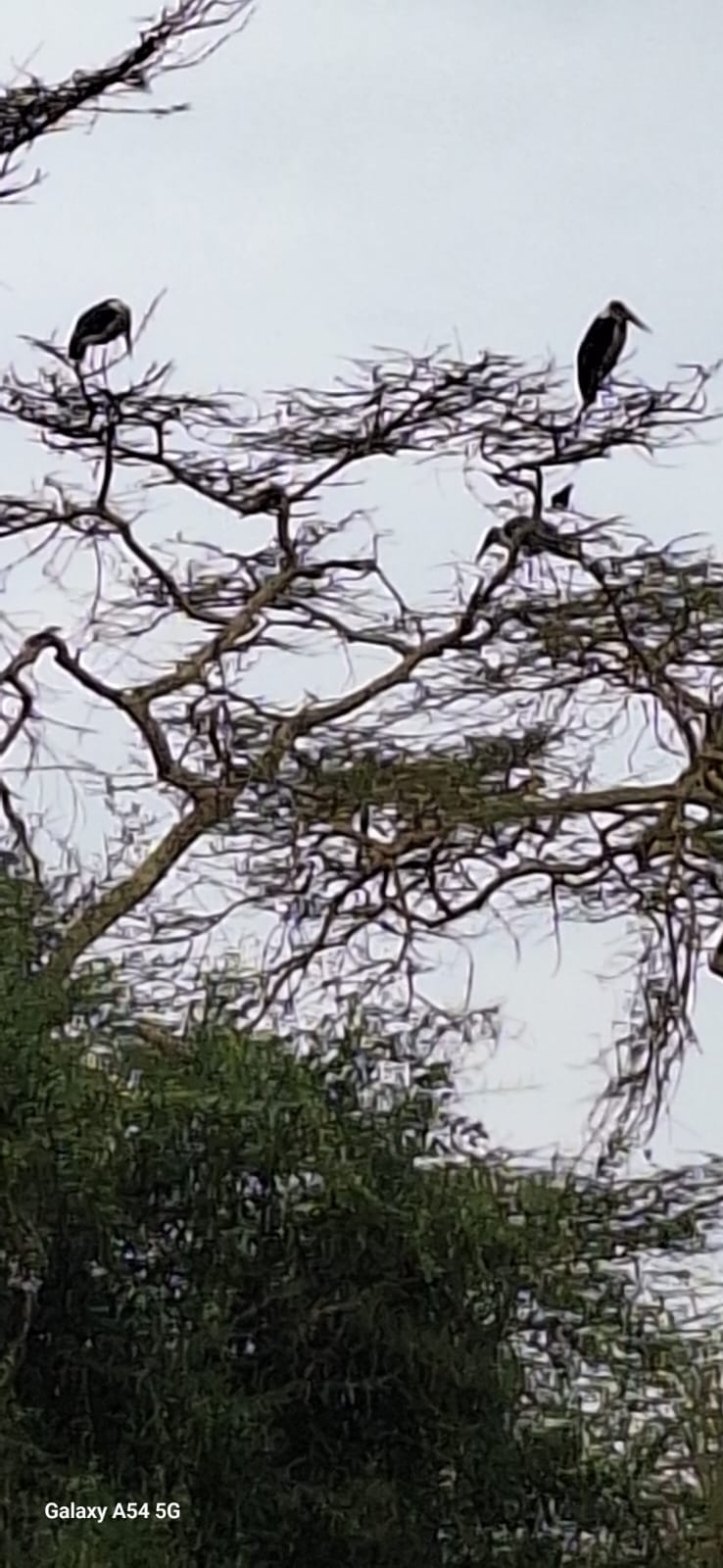 Kenya-14
