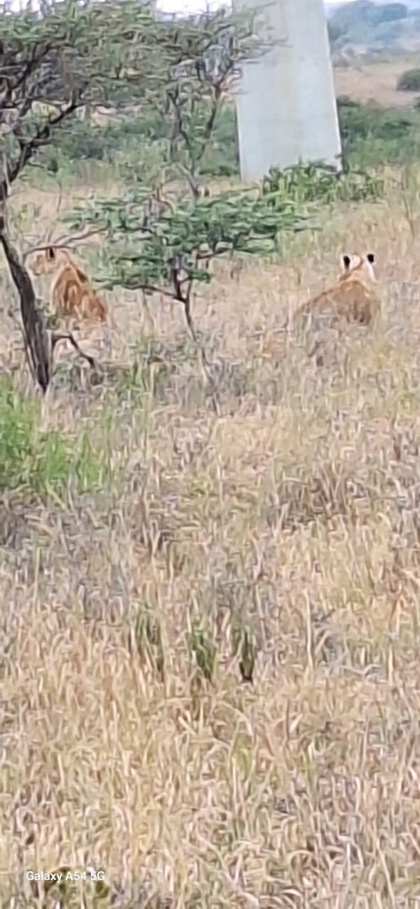 Kenya-15
