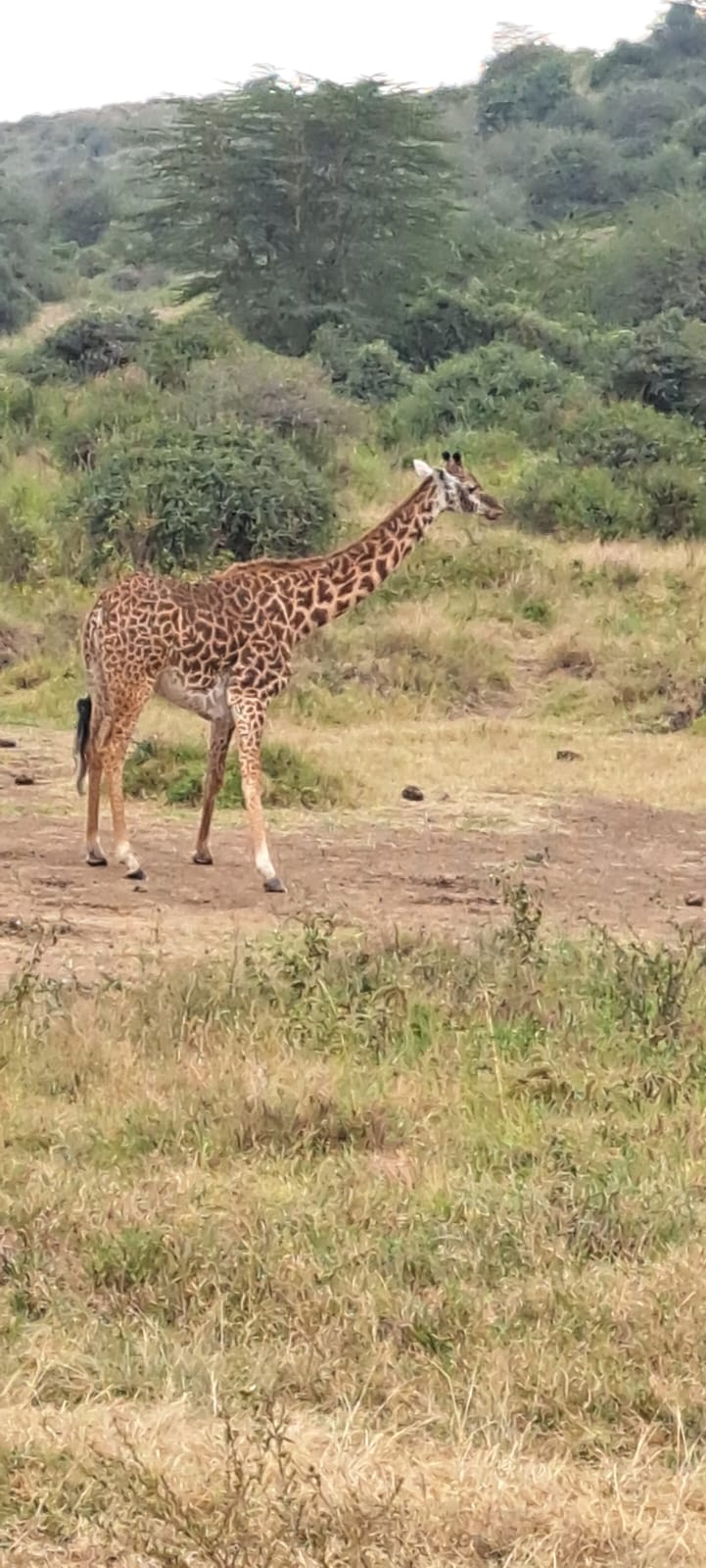 Kenya-16