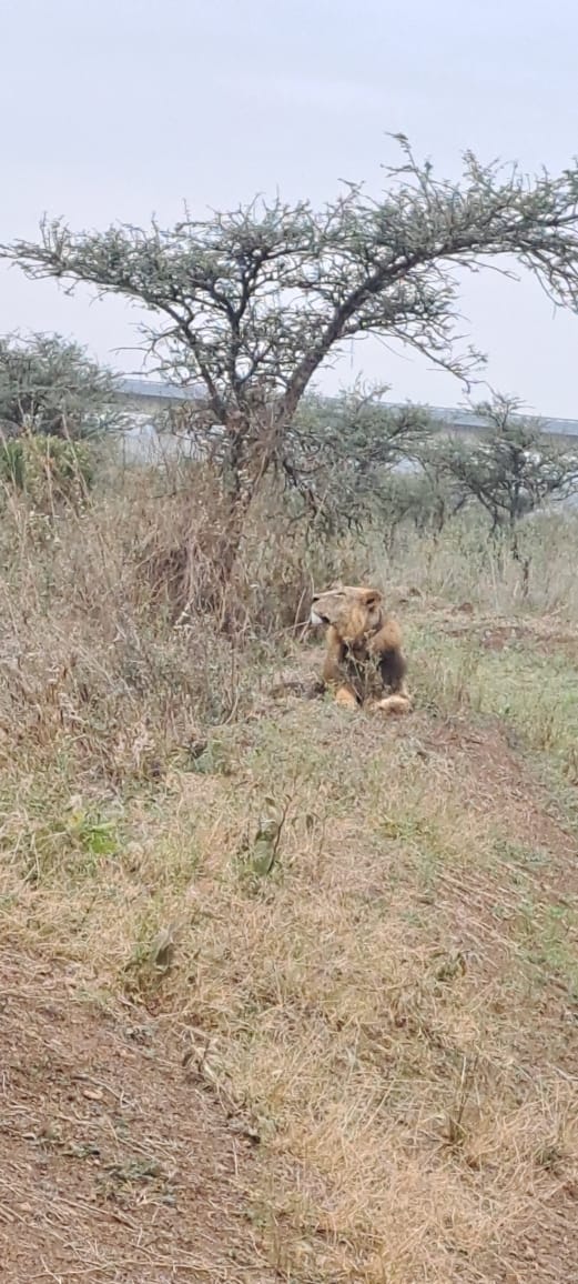 Kenya-17
