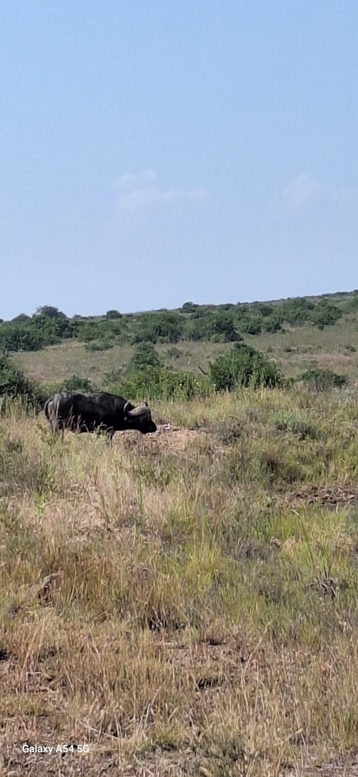 Kenya-18