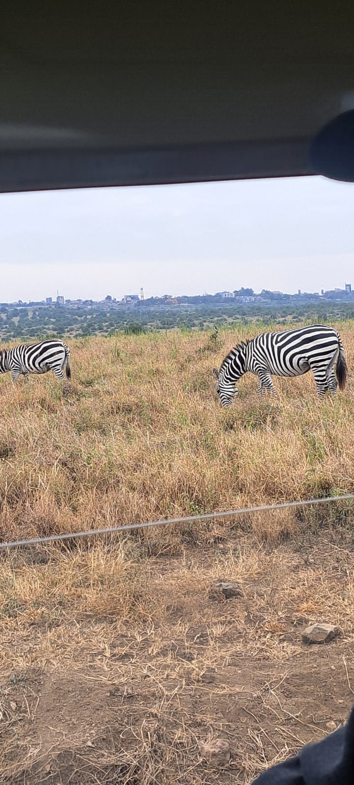 Kenya-19