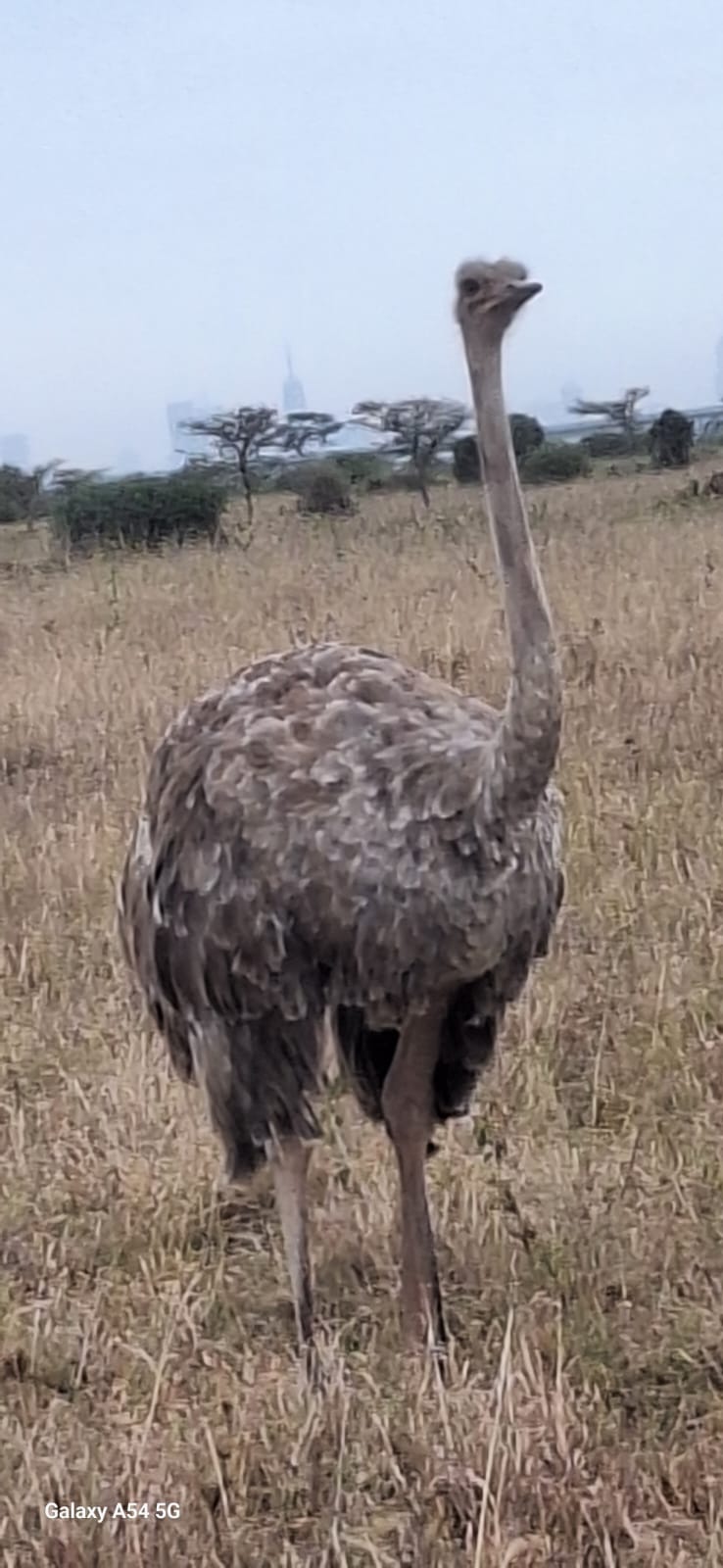 Kenya-20