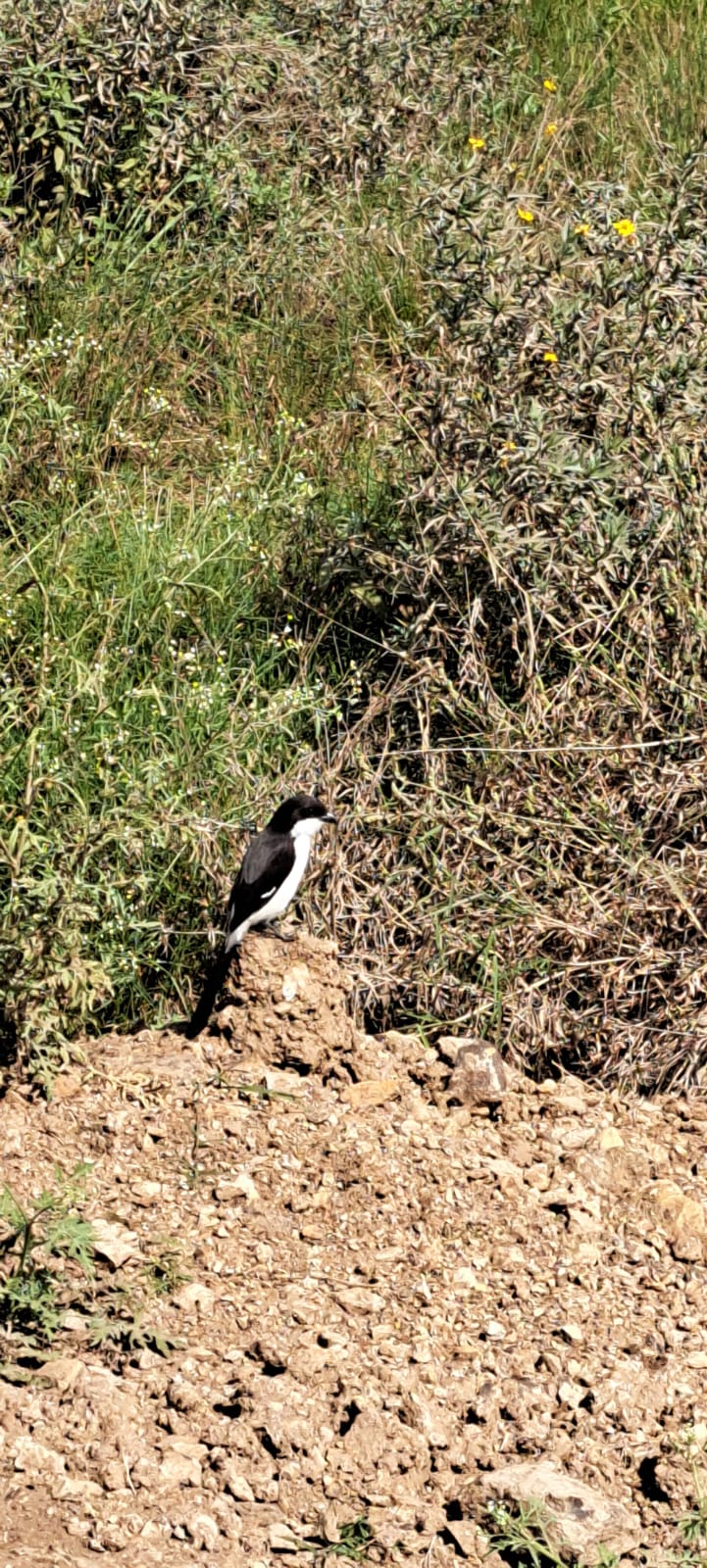 Kenya-25