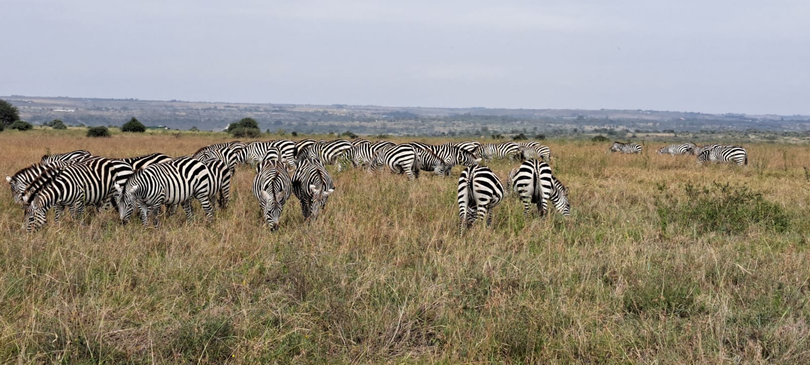 Kenya-27