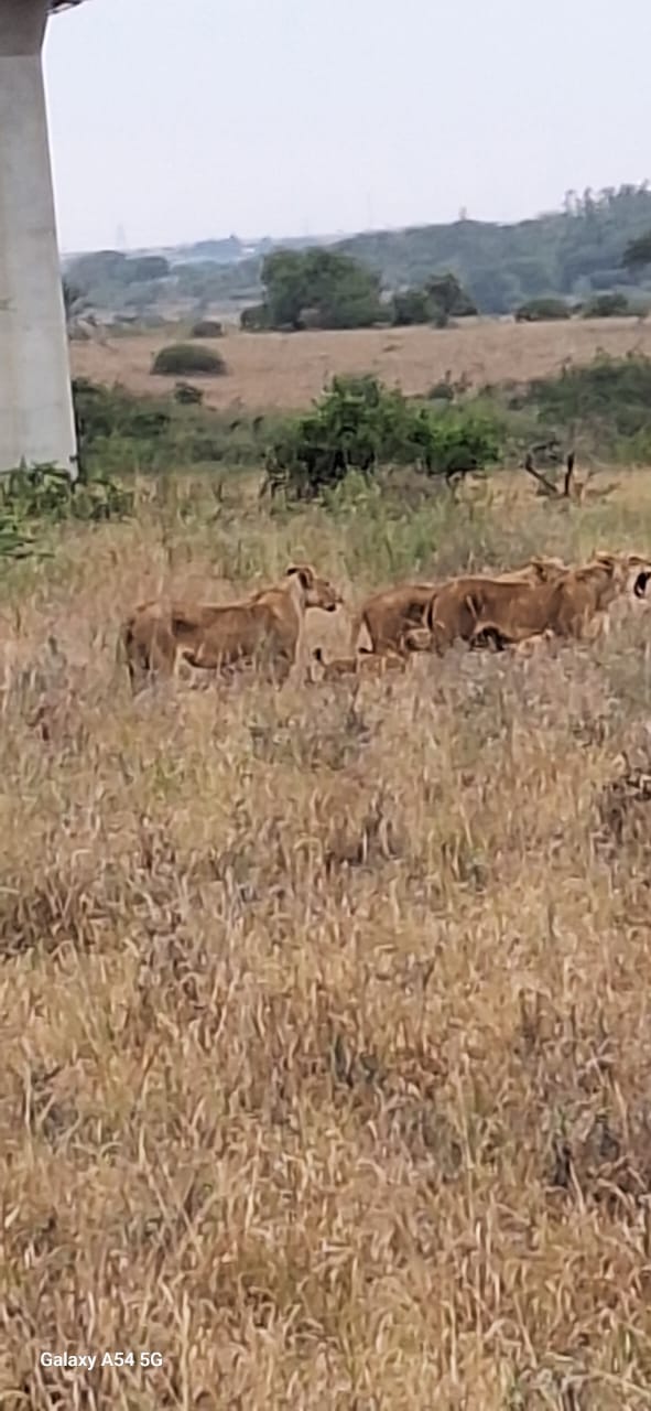 Kenya-29
