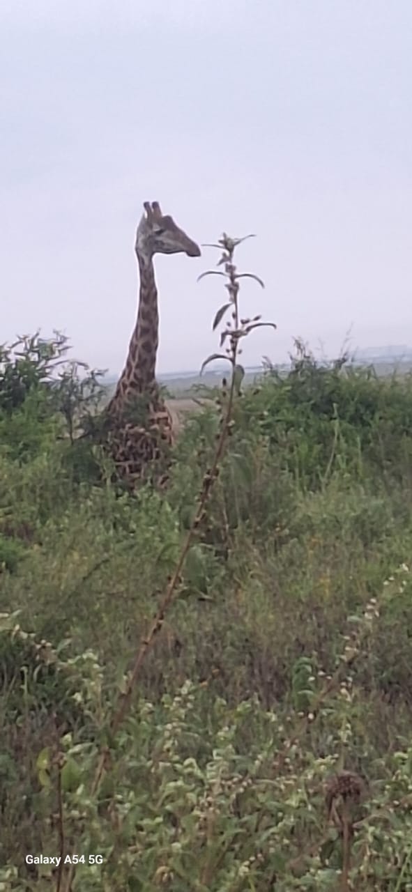 Kenya-30