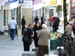 streetsurvey